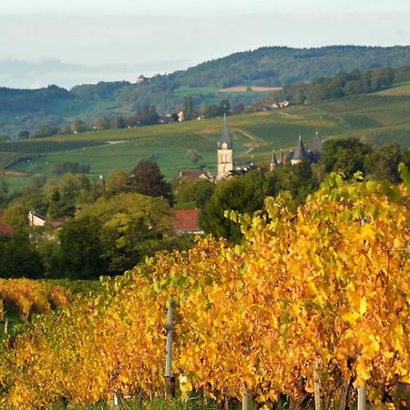 Gite Le Douglas, Vignoble Et Reculees Du Jura - Avec Sauna Lavigny Exterior photo