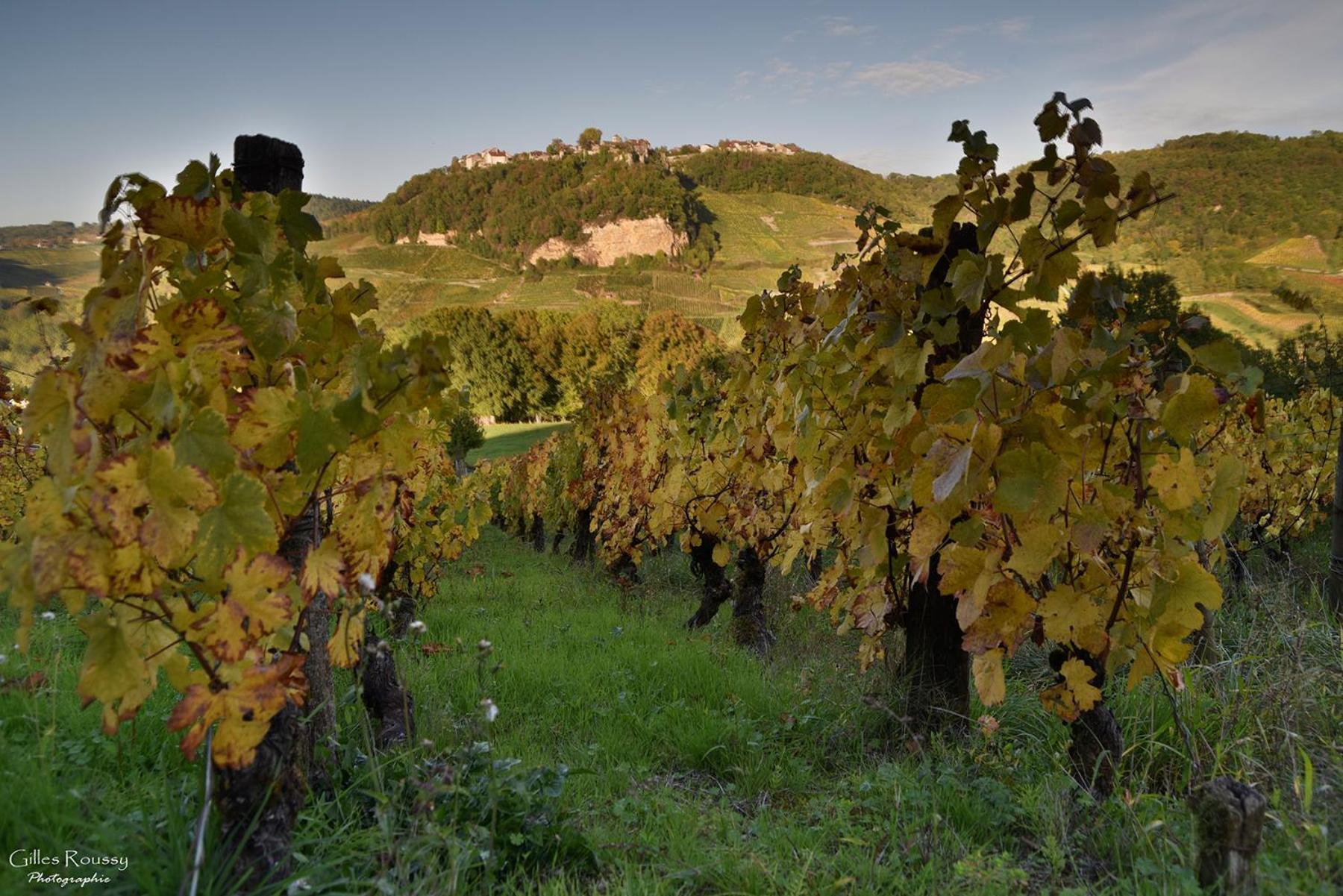 Gite Le Douglas, Vignoble Et Reculees Du Jura - Avec Sauna Lavigny Exterior photo