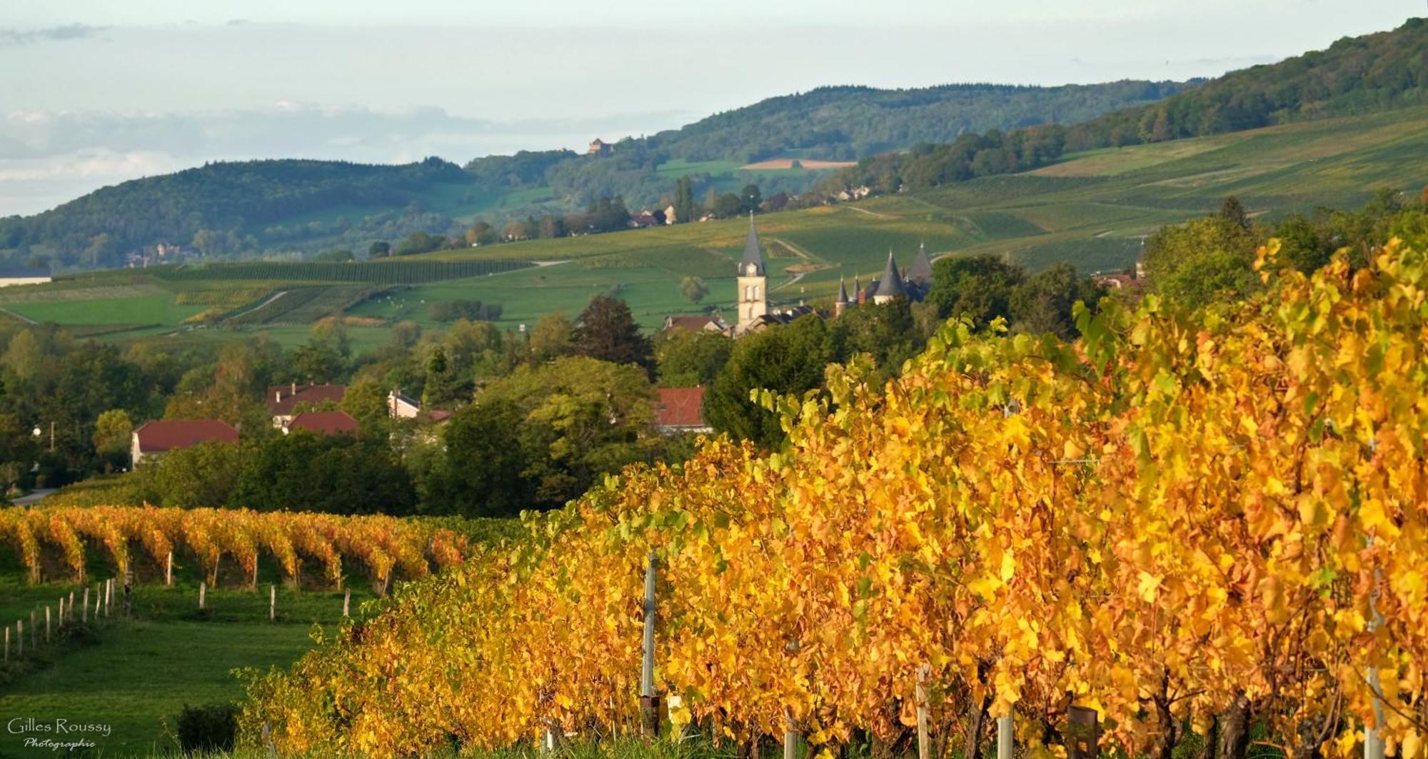 Gite Le Douglas, Vignoble Et Reculees Du Jura - Avec Sauna Lavigny Exterior photo